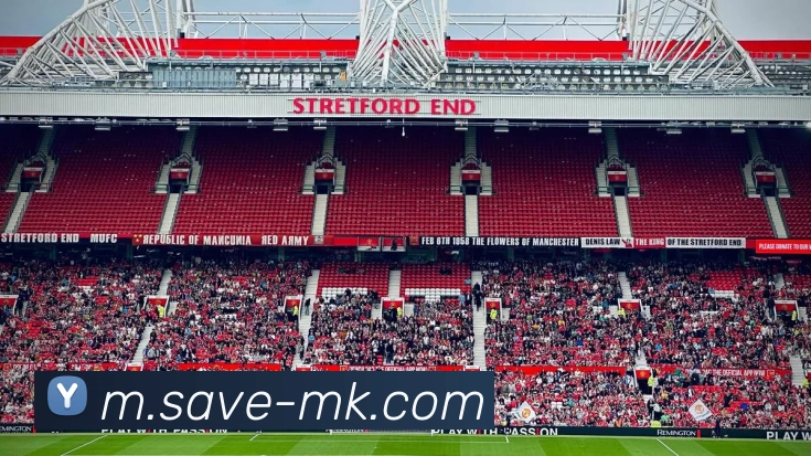 MK体育APP 封面图